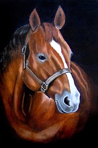 Brown Horse - Lisa Carol McNamara