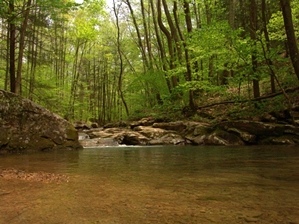 Gino Abbruzzino - Cumberland Trail In Tennessee