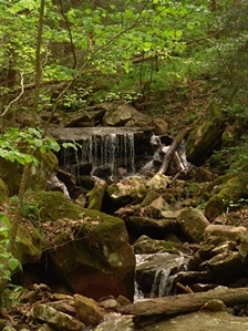 Gino Abbruzzino - Cumberland Trail In Tennessee