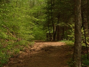 Gino Abbruzzino - Cumberland Trail In Tennessee