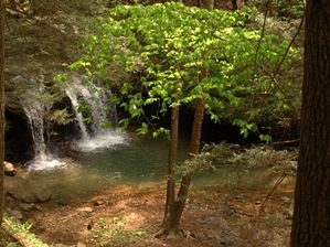 Gino Abbruzzino - Cumberland Trail In Tennessee