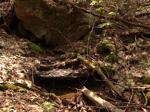 Gino Abbruzzino - Cumberland Trail In Tennessee
