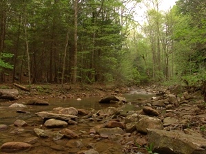 Gino Abbruzzino - Cumberland Trail In Tennessee