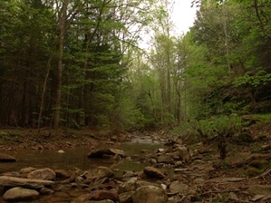 Gino Abbruzzino - Cumberland Trail In Tennessee