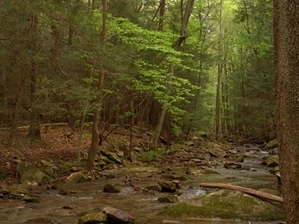 Gino Abbruzzino - North Carolina Photo Artist