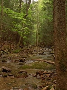 Gino Abbruzzino - North Carolina Photo Artist