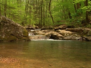 Gino Abbruzzino - North Carolina Photo Artist